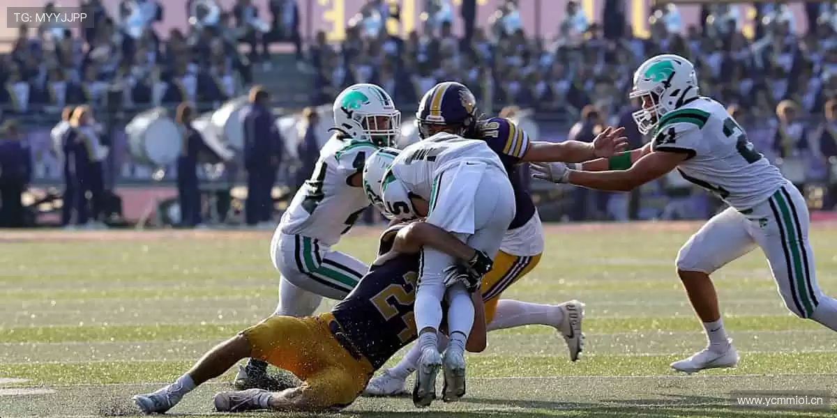🏀 体育社区，球迷家园！分享你的激情，结交同好👥💬